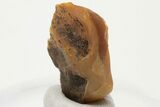 Kansas Amber (Jelinite) Specimen - George Jelinek Collection #197388-1